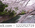 櫻花的風景 122252719