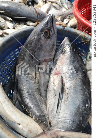 Dead Fishes In the Boat Dead Fishes In the Boat 122252941