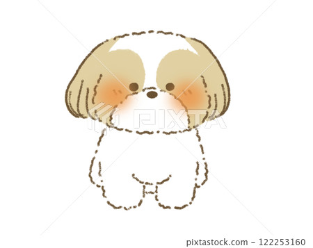 西施犬坐著的插圖 122253160