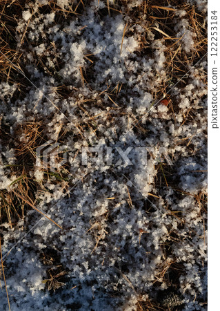 Frost-covered fallen leaves on a mountain path 122253184