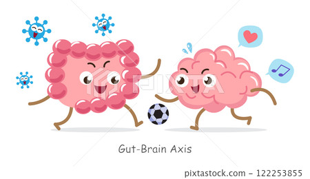 Gut-brain axis . Cartoon character of human brain and intestine . Concept about prebiotics and probiotics relate with brain function . Vector . 122253855