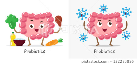 Prebiotics and Probiotics , Intestine cartoon character . Vector . 122253856