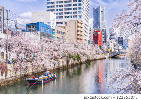 春天的橫濱街景：櫻花盛開的大岡川遊船【神奈川縣/橫濱市】 122253875