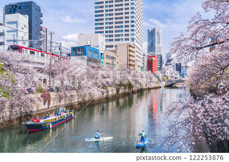 春天的橫濱大岡川 - 櫻花盛開的河邊街景【神奈川縣橫濱市】 122253876