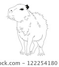 Vector black and white capybara, hand drawn vector illustration, 122254180