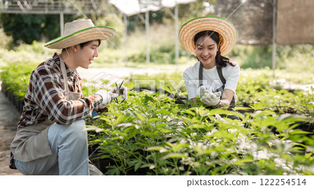 Couple Cultivating Cannabis Herb Garden Together with Joyful Expressions and Sustainable Gardening Practices Couple Cultivating Cannabis Herb Garden Together with Joyful Expressions and Sustainable Gardening Practices 122254514