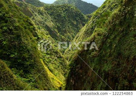 gorge in the tropical mountains illuminated by the sun and covered with dense rain forest 122254863