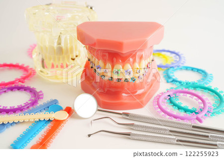 Orthodontic ligatures rings and ties, elastic rubber bands on orthodontic braces, model for dentist studying about dentistry. Orthodontic ligatures rings and ties, elastic rubber bands on orthodontic braces, model for dentist studying about dentistry. 122255923