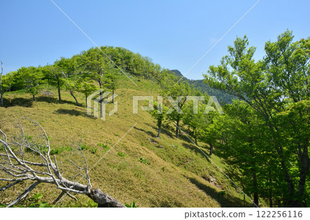 朝日登山口至釋迦岳[奈良縣十津川村] 122256116
