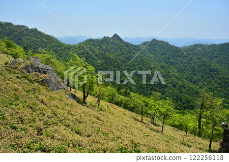 朝日登山口至釋迦岳[奈良縣十津川村] 122256118