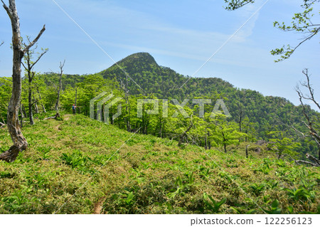 朝日登山口至釋迦岳[奈良縣十津川村] 122256123