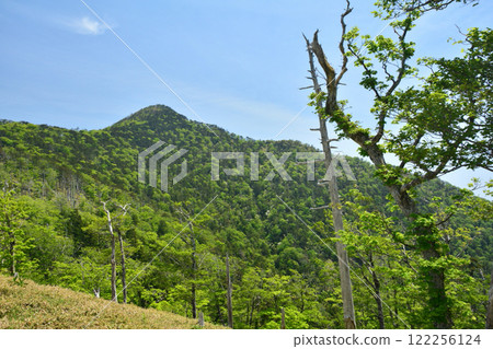 朝日登山口至釋迦岳[奈良縣十津川村] 122256124