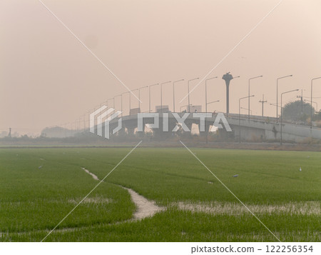 Bridge crossing over lush fields in misty dawn scenic landscape tranquil environment Bridge crossing over lush fields in misty dawn scenic landscape tranquil environment 122256354