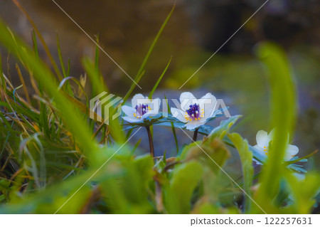 Setsubunso Setsubunso 122257631