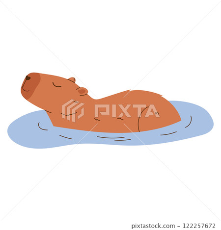 Cute capybara. Exotic rodent swimming in pond. Hand drawn vector illustration. 122257672