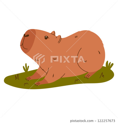 Cute capybara character. Exotic rodent relaxing on grass. Hand drawn vector illustration. 122257673