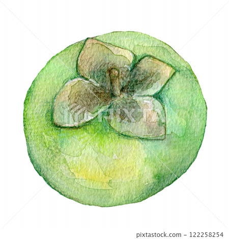 水彩插圖仍然藍色柿子果 水彩插圖仍然藍色柿子果 122258254