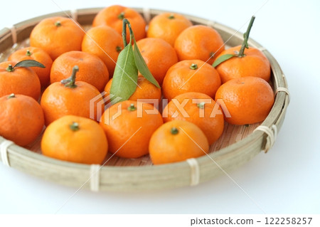 大腸和可愛小柑橘(3-4cm,3:2) 大腸和可愛小柑橘(3-4cm,3:2) 122258257