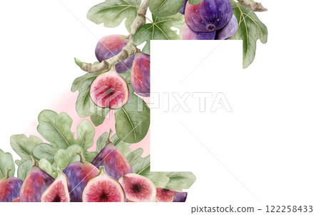 Botanical figs tree branches watercolor horizontal frame Illustration isolated on white. Hand drawn label or package sticker template with ripe summer fruits for delicious gourmet food desserts Botanical figs tree branches watercolor horizontal frame Illustration isolated on white. Hand drawn label or package sticker template with ripe summer fruits for delicious gourmet food desserts 122258433