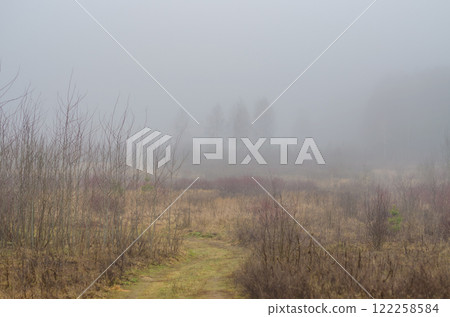 Foggy Path Autumn Forest. High quality photo 122258584