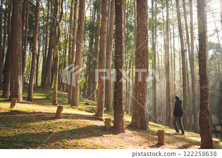 travel and people activity concept with asian man hiking in tropical forest with pine tree on mountain 122258638