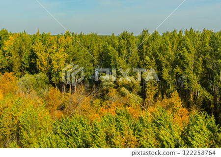 Agricultural fields with young green shoots of grain crops and plowed field without sowing. With trees in the background on the hills. Fallow concept. Alternation. Agricultural fields with young green shoots of grain crops and plowed field without sowing. With trees in the background on the hills. Fallow concept. Alternation. 122258764