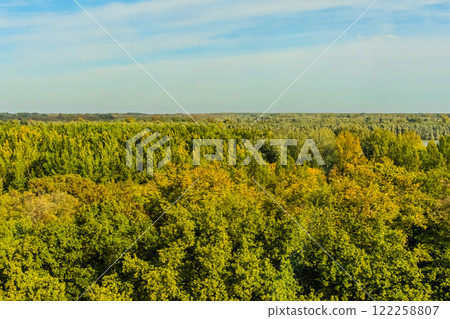 Agricultural fields with young green shoots of grain crops and plowed field without sowing. With trees in the background on the hills. Fallow concept. Alternation. Agricultural fields with young green shoots of grain crops and plowed field without sowing. With trees in the background on the hills. Fallow concept. Alternation. 122258807
