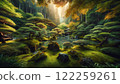 A moss-covered forest with sunlight filtering through the trees 122259261