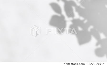 Soft Blurred Shadow Overlay with Natural Leaf Patterns for Elegant Backgrounds, Branding, and Social Media Design. Vector illustration 122259314