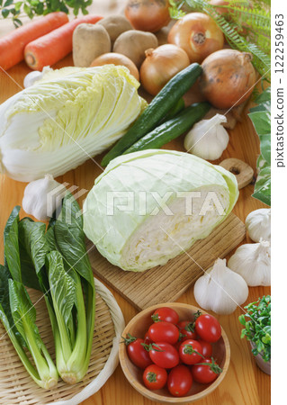 Lots of vegetables: cabbage, cherry tomatoes, cucumbers, Chinese cabbage, komatsuna, garlic, potatoes, onions, carrots 122259463