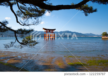 Floating Torii gate of Itsukushima Shrine at Miyajima, Hiroshima 122259787