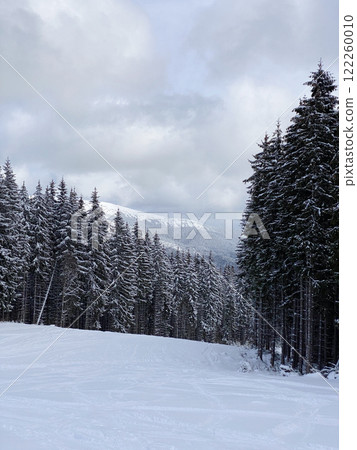 Winter Landscape with Snow-Covered Trees Winter Landscape with Snow-Covered Trees 122260010