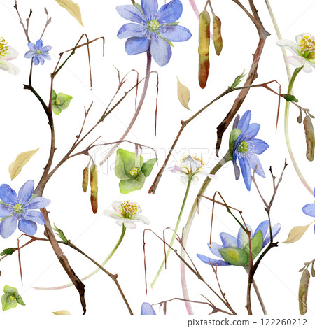 Branch with catkins, spring flowers blue hepatica forget-me-not, white forest anemone primrose, watercolor hand drawn. Seamless pattern botanical illustration isolated on white. Wedding, florist shop 122260212