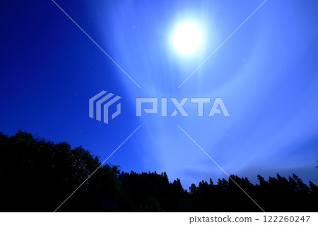 Moon halo over the forest 122260247