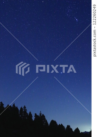 Starry sky and forest 122260249