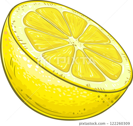 Lemon Fruit Colored Detailed Illustration. Lemon Fruit Colored Detailed Illustration. 122260309