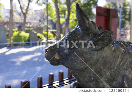 New bronze cow statue at Kameido Tenjin Shrine [Shrine image] 122260324