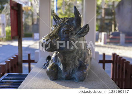 New bronze cow statue at Kameido Tenjin Shrine [Shrine image] 122260327