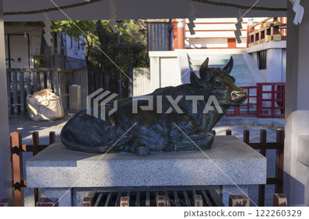 New bronze cow statue at Kameido Tenjin Shrine [Shrine image] 122260329