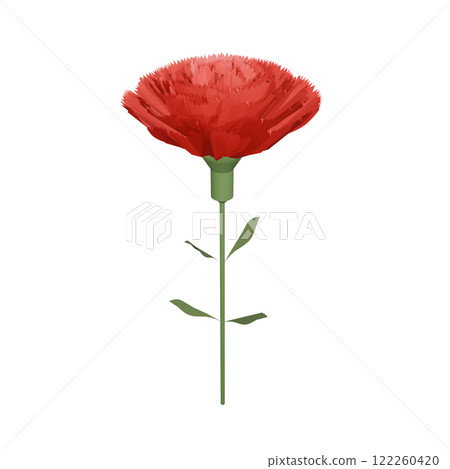 花 紅色 康乃馨 122260420