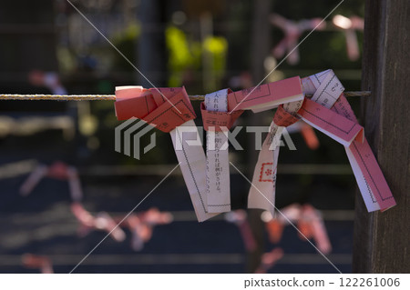 Fortune slips at Kameido Tenjin Shrine [Shrine image] 122261006