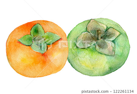水彩插圖柿子果 122261134