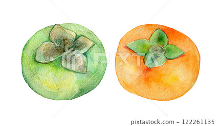 水彩插圖柿子果 122261135