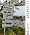 Cherry blossoms at Senkoji Park 122262024