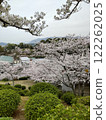 Cherry blossoms at Senkoji Park 122262025