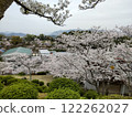 Cherry blossoms at Senkoji Park 122262027
