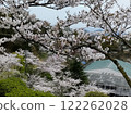 Cherry blossoms at Senkoji Park 122262028