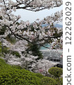 Cherry blossoms at Senkoji Park 122262029
