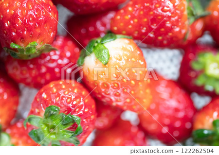 洗淨的草莓圖片(照片素材) 洗淨的草莓圖片(照片素材) 122262504