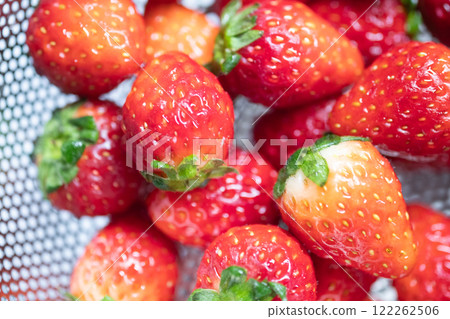 洗淨的草莓圖片(照片素材) 洗淨的草莓圖片(照片素材) 122262506